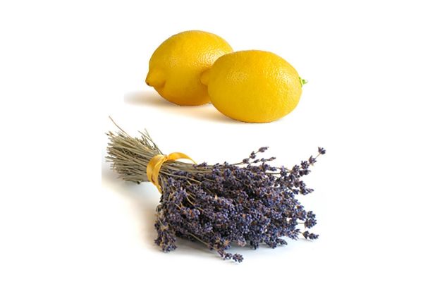 Lavender & Lemon Organic Hemp Body Butter (1 oz)
